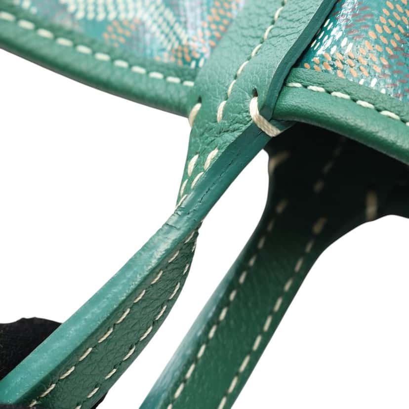 Goyard Goyardine Saint Louis PM Green Canvas Good condition - Model View