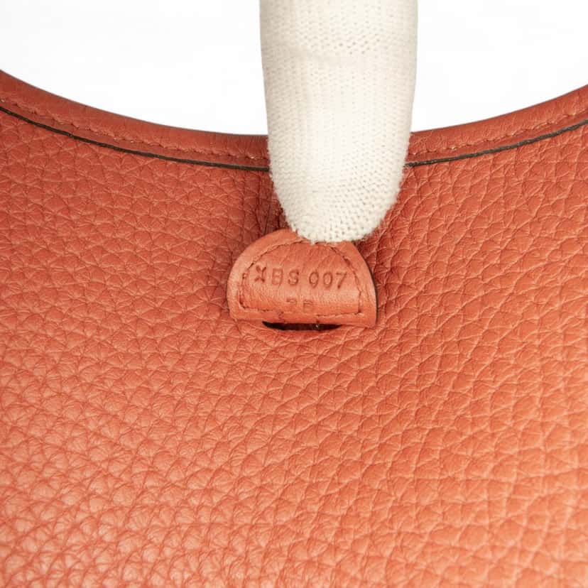 Hermès Clemence Evelyne 16 TPM Brown Leather Good condition - Box View