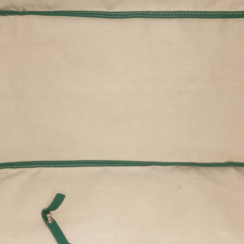 Goyard Goyardine Saint Louis GM Green Canvas Good condition - Model View