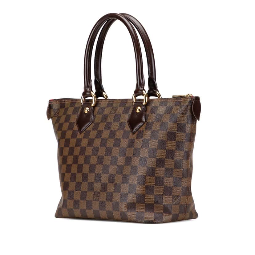 Louis Vuitton Damier Ebene Saleya PM Brown Canvas Good condition - Back View