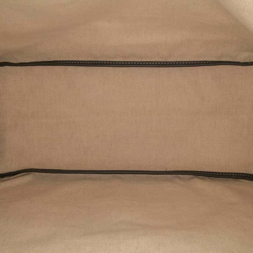 Goyard Goyardine Saint Louis PM Grey Canvas Good condition - Model View