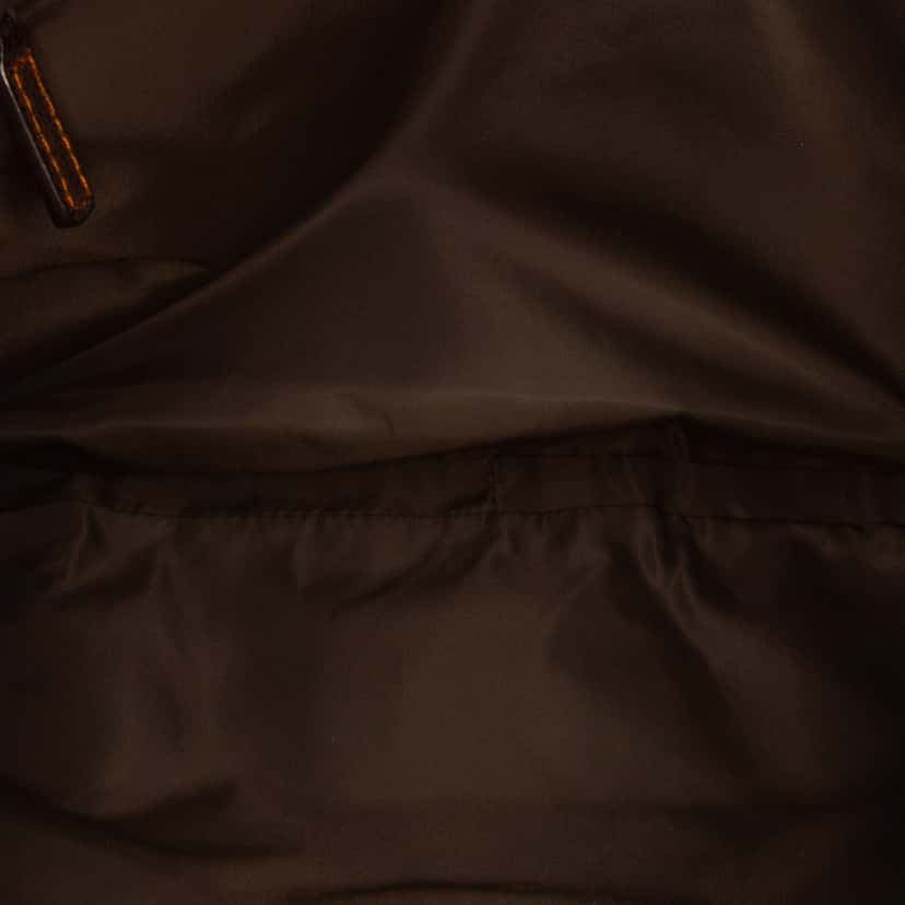 Dior Oblique Canvas Crossbody Brown Canvas Good condition - Model View