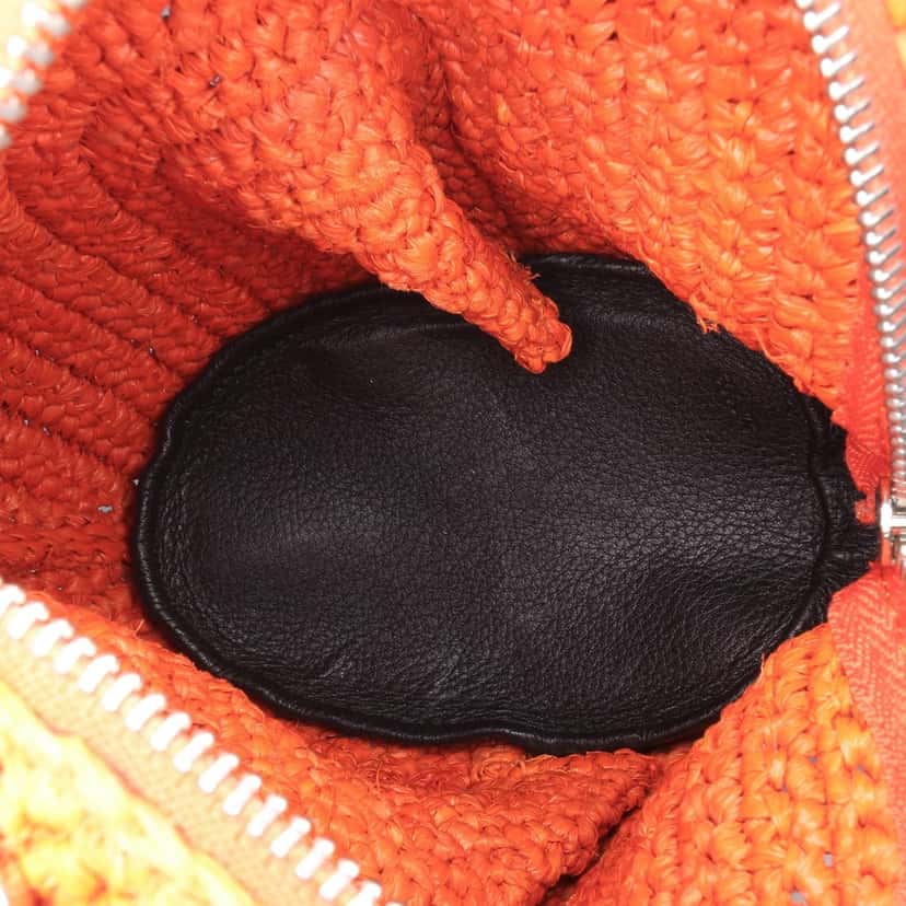 Loewe Mini Raffia Bunny Crossbody Orange Good condition - Model View