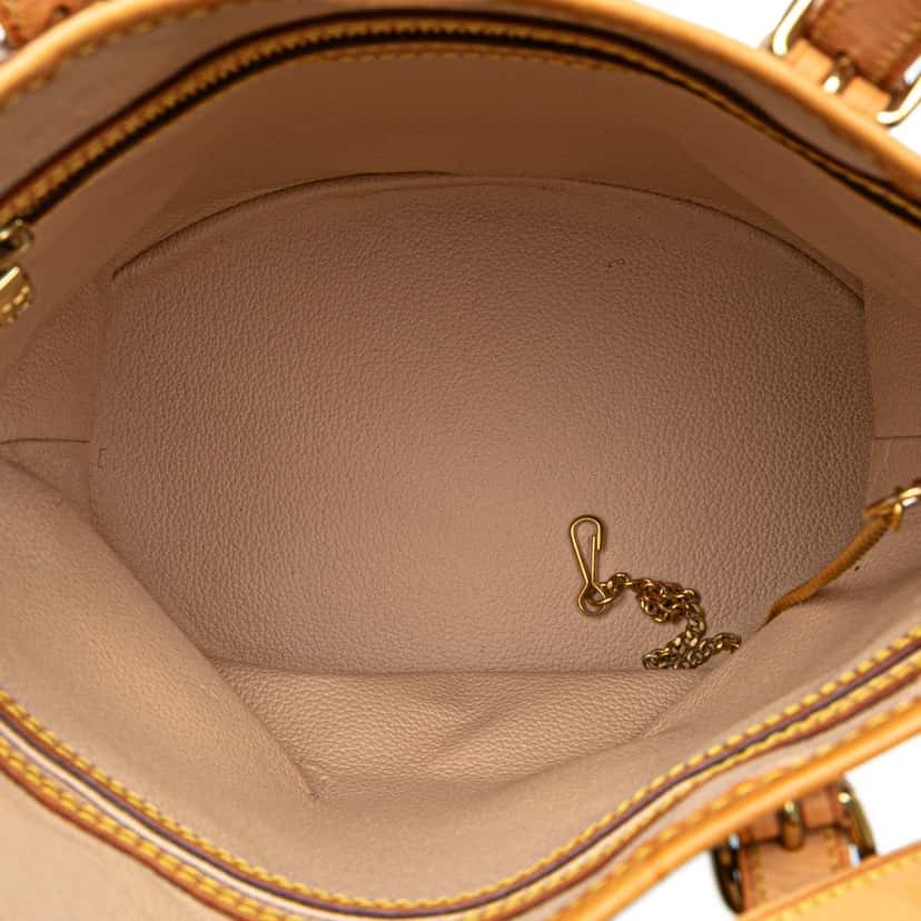 Louis Vuitton Monogram Petit Bucket Brown Canvas Good condition - Model View