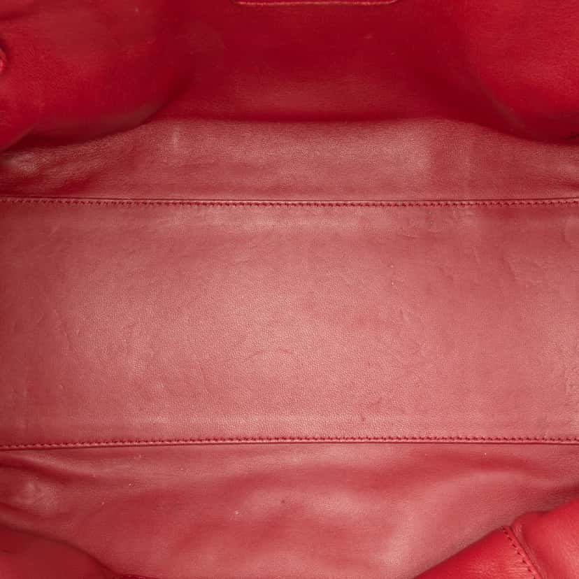 Loewe Limited Edition Year of the Dragon Leather Amazona 36 Red Leather Good condition - Model View