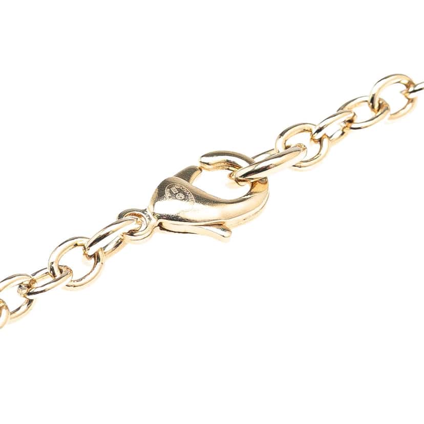 Chanel Gold Plated Enamel CC Lion Book Locket Pendant Necklace Gold Metal Good condition - Model View