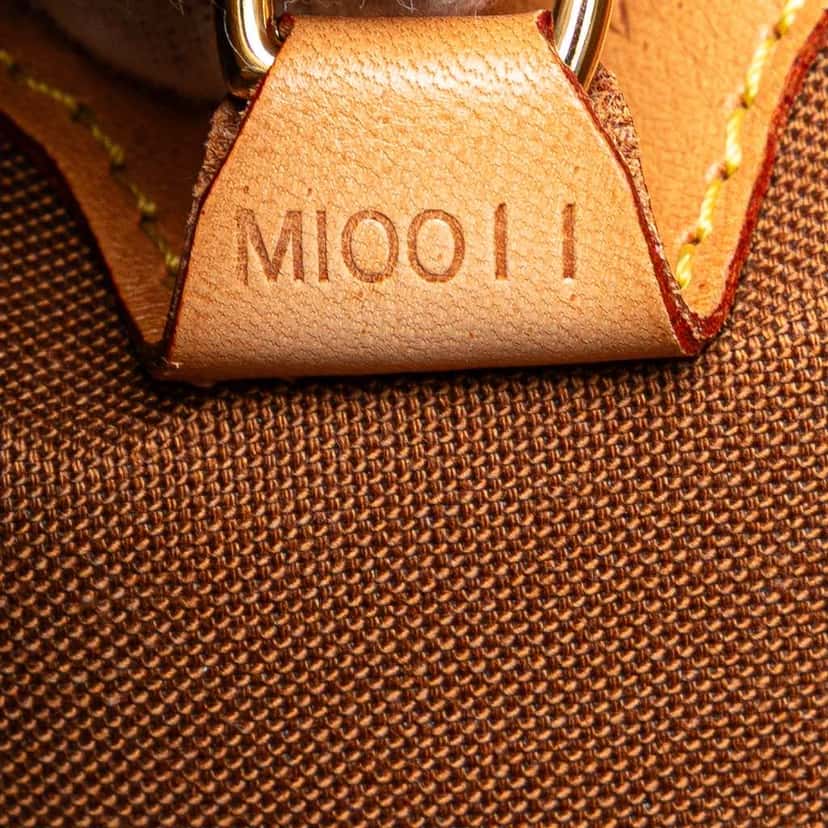 Louis Vuitton Monogram Ellipse MM Brown Canvas Good condition - Box View