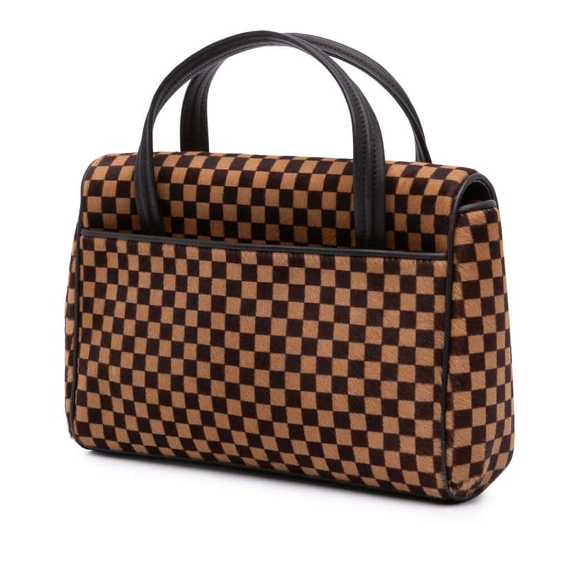 Louis Vuitton Damier Sauvage Lionne Brown Good condition - Back View