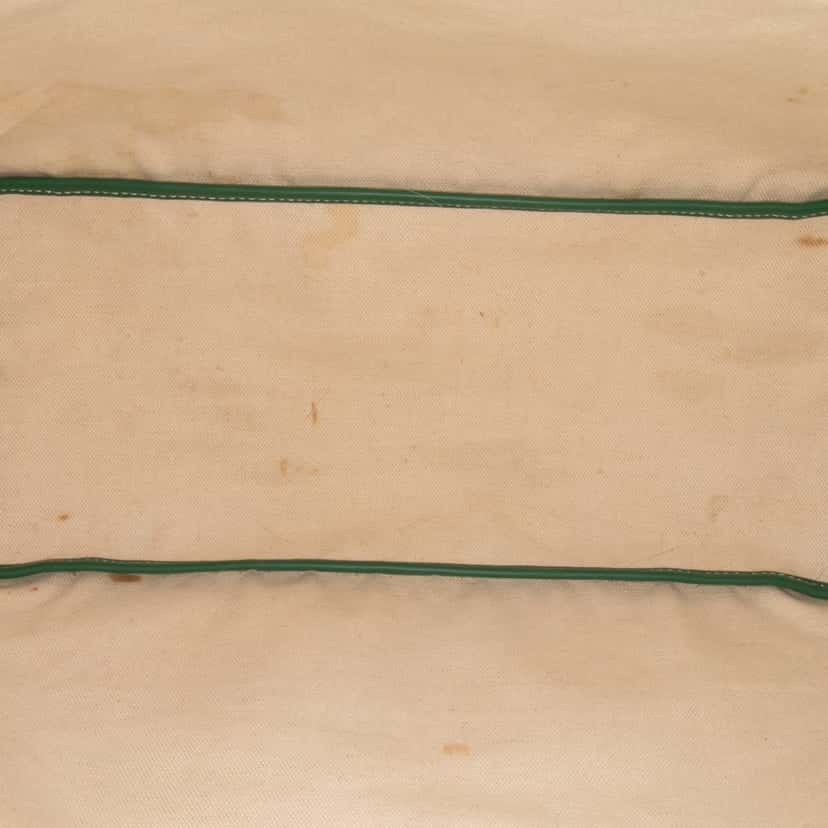 Goyard Goyardine Saint Louis PM Green Canvas Good condition - Model View