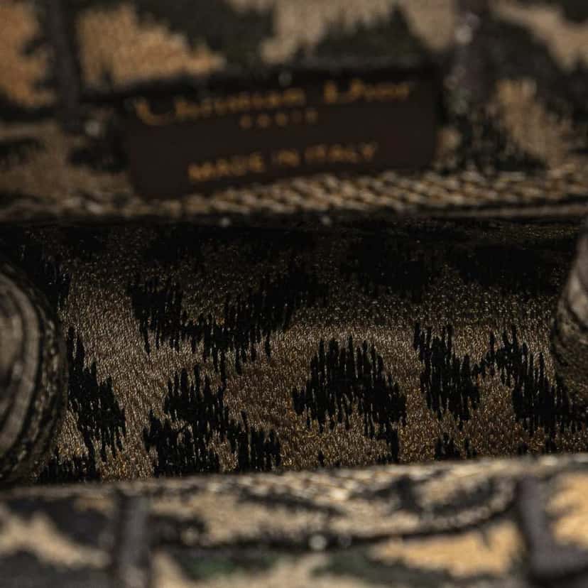 Dior Mizza Mini Embroidered Canvas Leopard Vertical Book Tote Brown Canvas Good condition - Model View