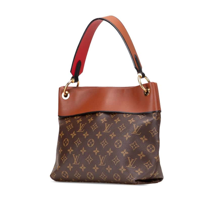 Louis Vuitton Monogram Tuileries Besace Brown Canvas Good condition - Back View