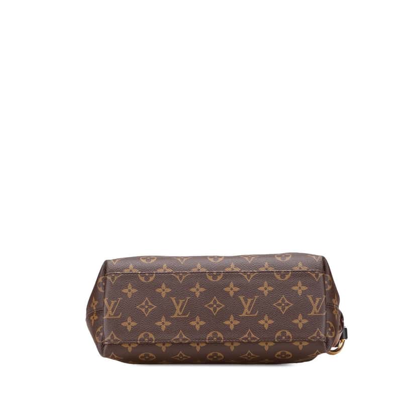 Louis Vuitton Monogram Tuileries Besace Brown Canvas Good condition - Inside View