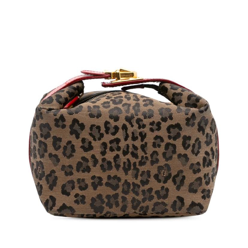 Fendi Leopard Print Canvas Handbag Brown Canvas Good condition - Front View