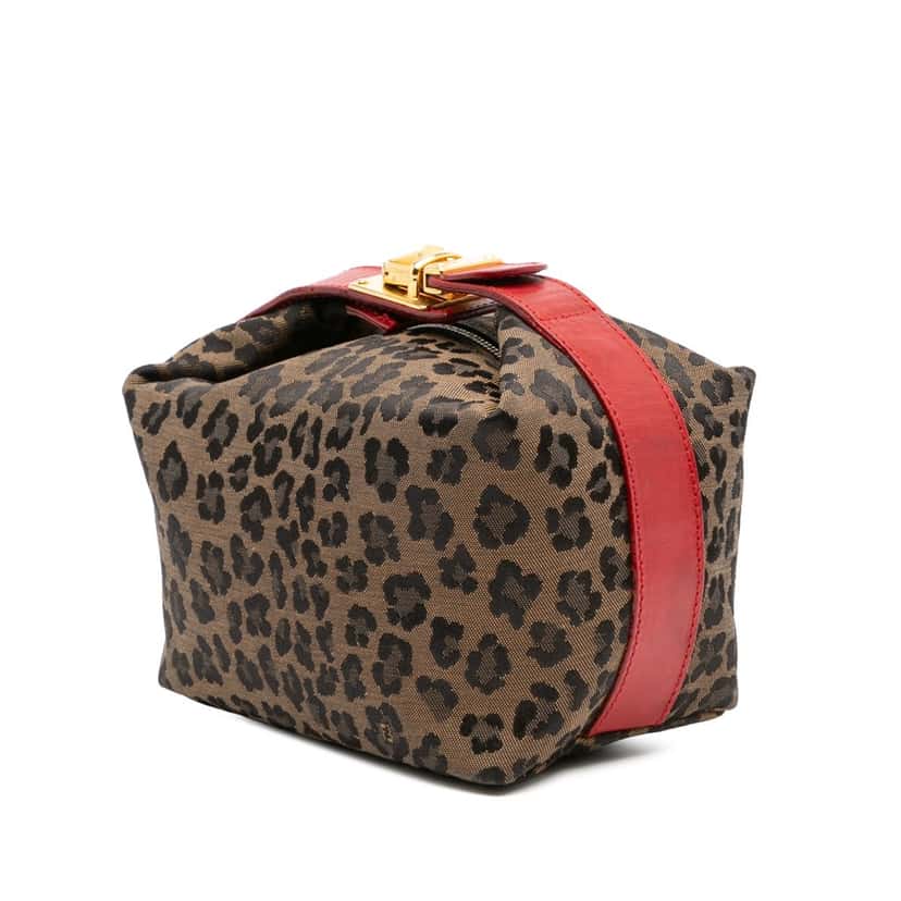 Fendi Leopard Print Canvas Handbag Brown Canvas Good condition - Back View