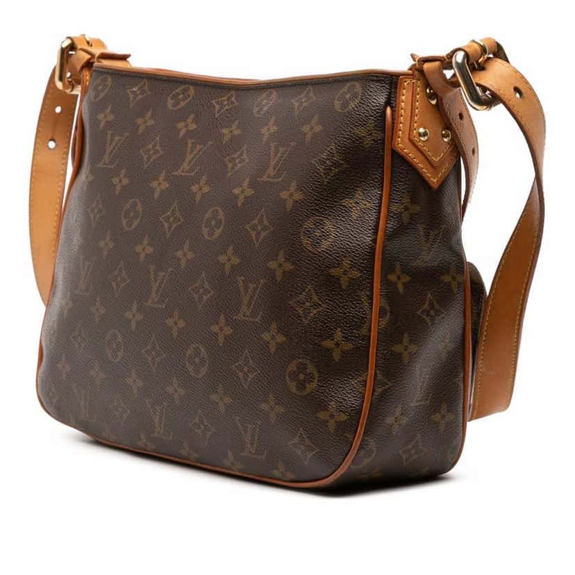 Louis Vuitton Monogram Hudson GM Brown Canvas Good condition - Back View