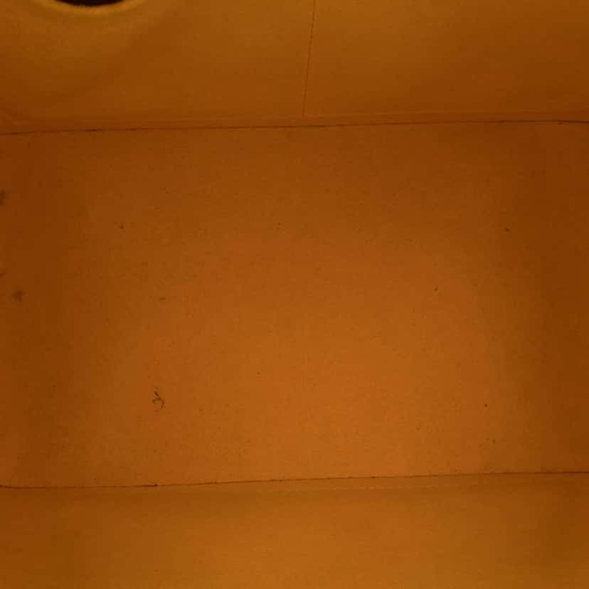 Louis Vuitton Epi Alma PM Yellow Leather Good condition - Model View