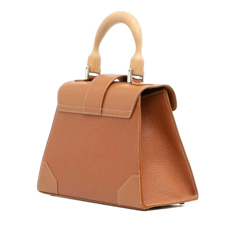 Goyard Leather Saigon Structured PM Brown Leather Good condition - Back View