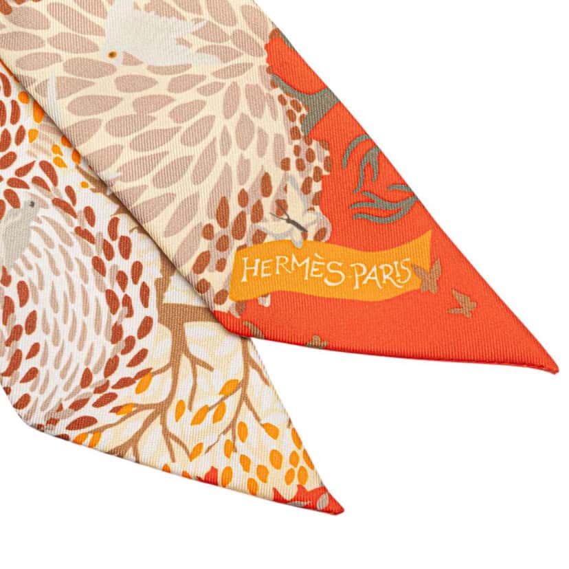 Hermès Dans un Jardin Anglais Silk Twilly Scarf Brown Silk Very good condition - Model View