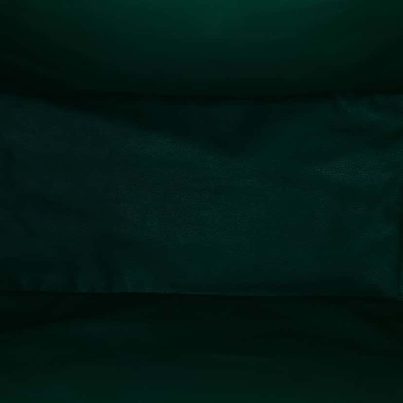 Goyard Goyardine Reversible Anjou GM Green Canvas Good condition - Model View
