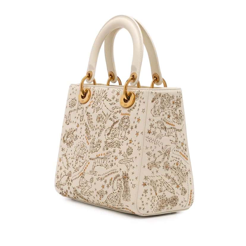 Dior Medium Calfskin Embroidered Astrology Lady Dior Brown Leather Good condition - Back View
