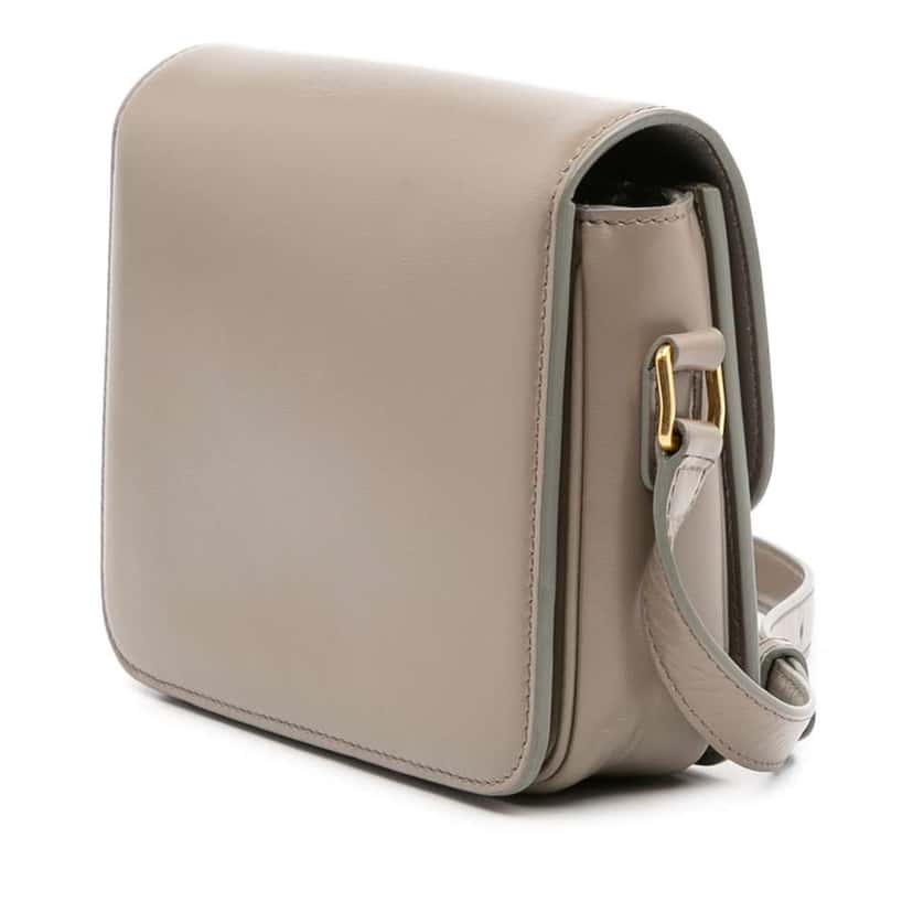 Celine Teen Shiny Calfskin Triomphe Crossbody Brown Leather Good condition - Back View