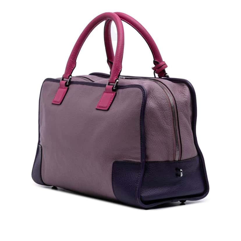 Loewe Tricolor Goatskin Amazona 36 Purple Leather Good condition - Back View