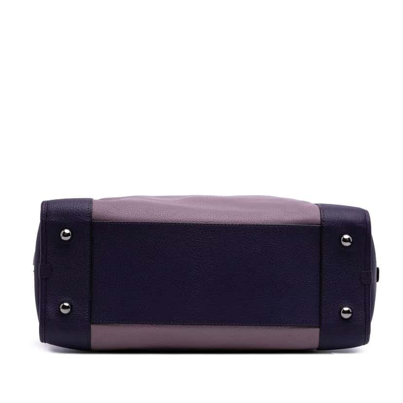 Loewe Tricolor Goatskin Amazona 36 Purple Leather Good condition - Inside View