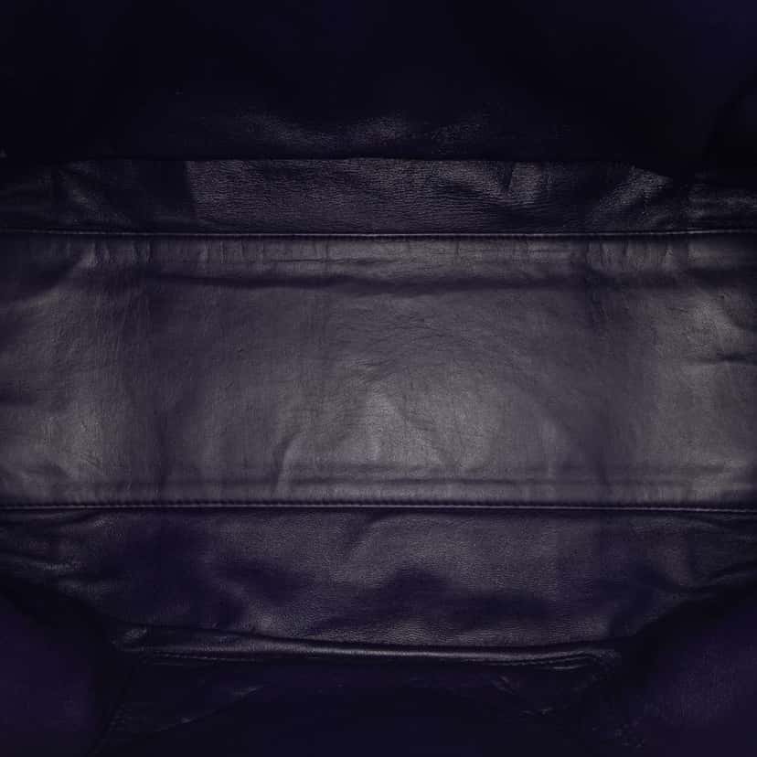 Loewe Goatskin Amazona 36 Purple Leather Good condition - Model View