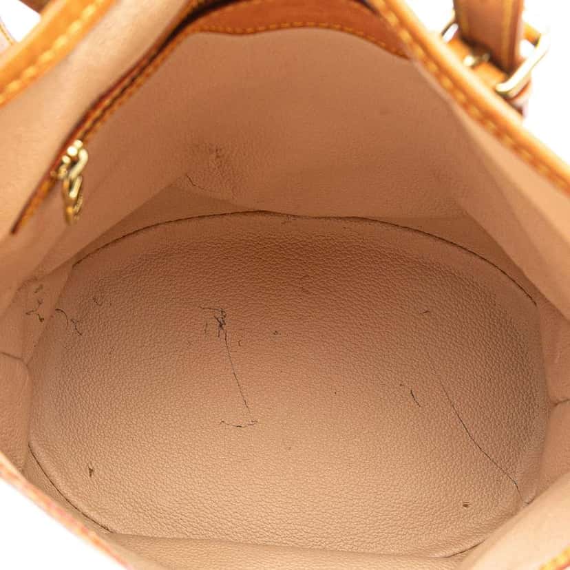 Louis Vuitton Monogram Petit Bucket Brown Good condition - Model View