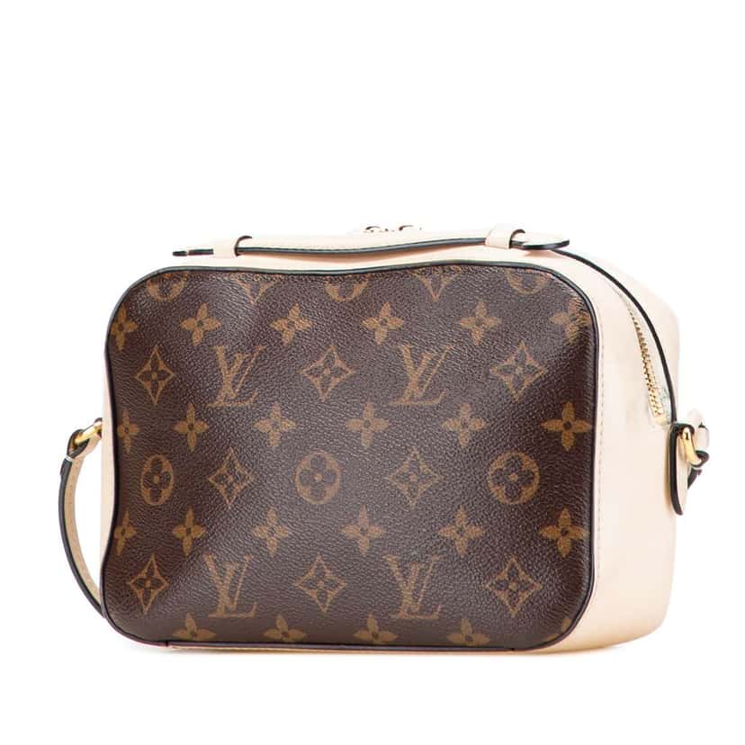 Louis Vuitton Monogram Saintonge Brown Canvas Very good condition - Back View