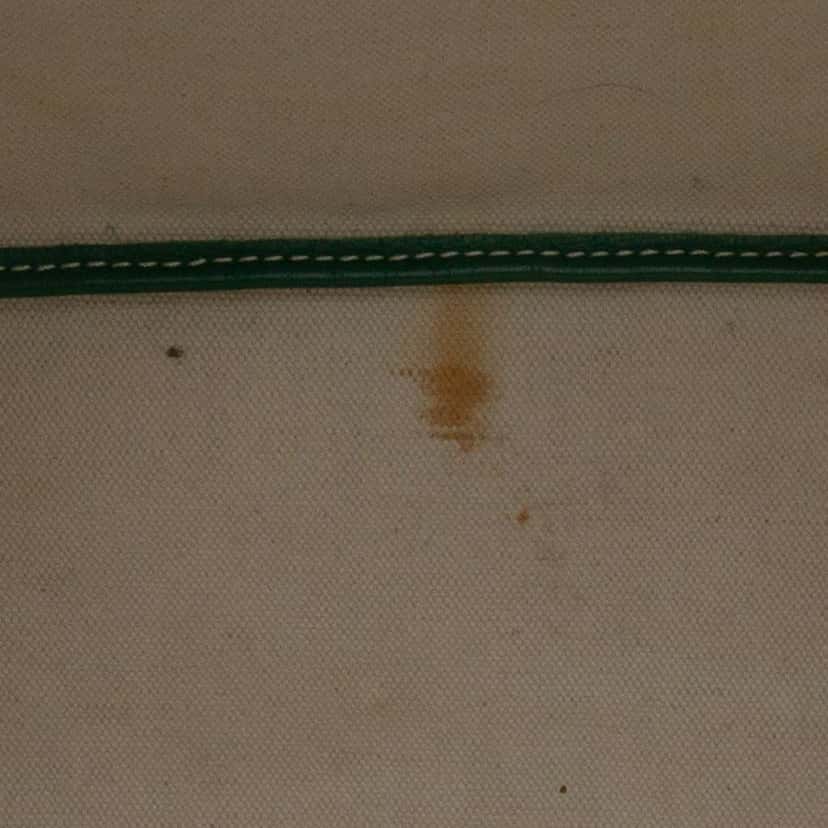 Goyard Goyardine Saint Louis PM Green Canvas Good condition - Box View
