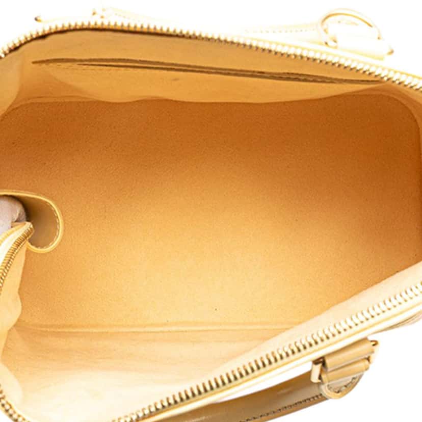 Louis Vuitton Epi Alma PM Brown Leather Very good condition - Model View