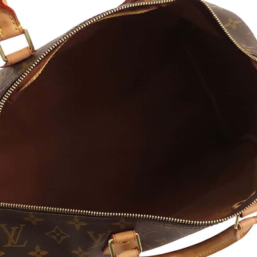 Louis Vuitton Monogram Speedy 40 Brown Good condition - Model View