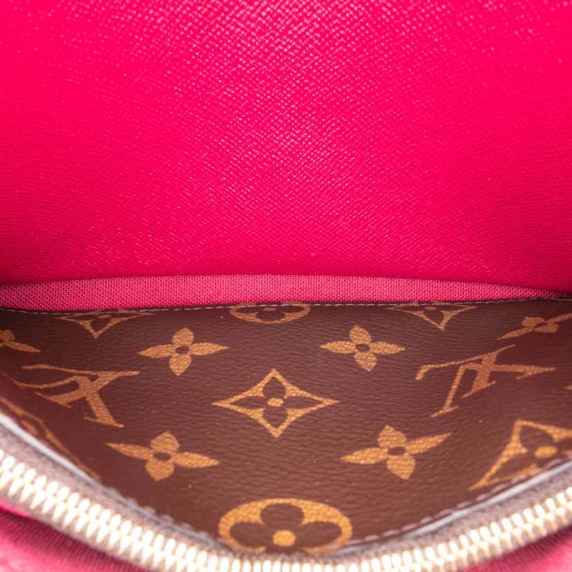 Louis Vuitton Monogram Pochette Felicie Brown Canvas Good condition - Model View