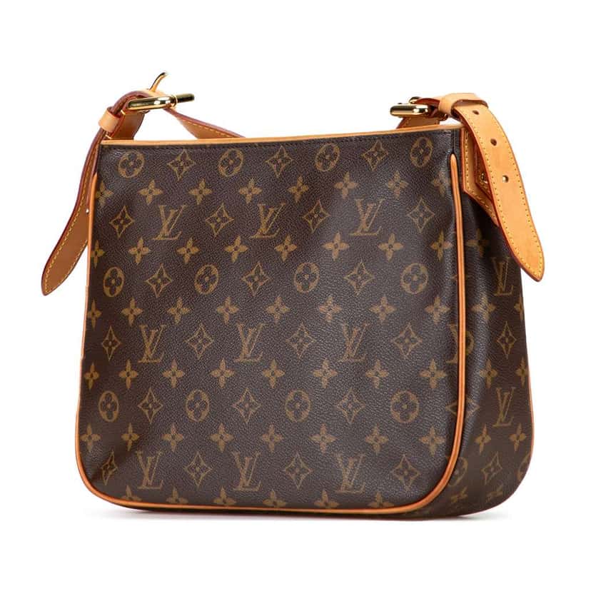 Louis Vuitton Monogram Hudson GM Brown Good condition - Back View