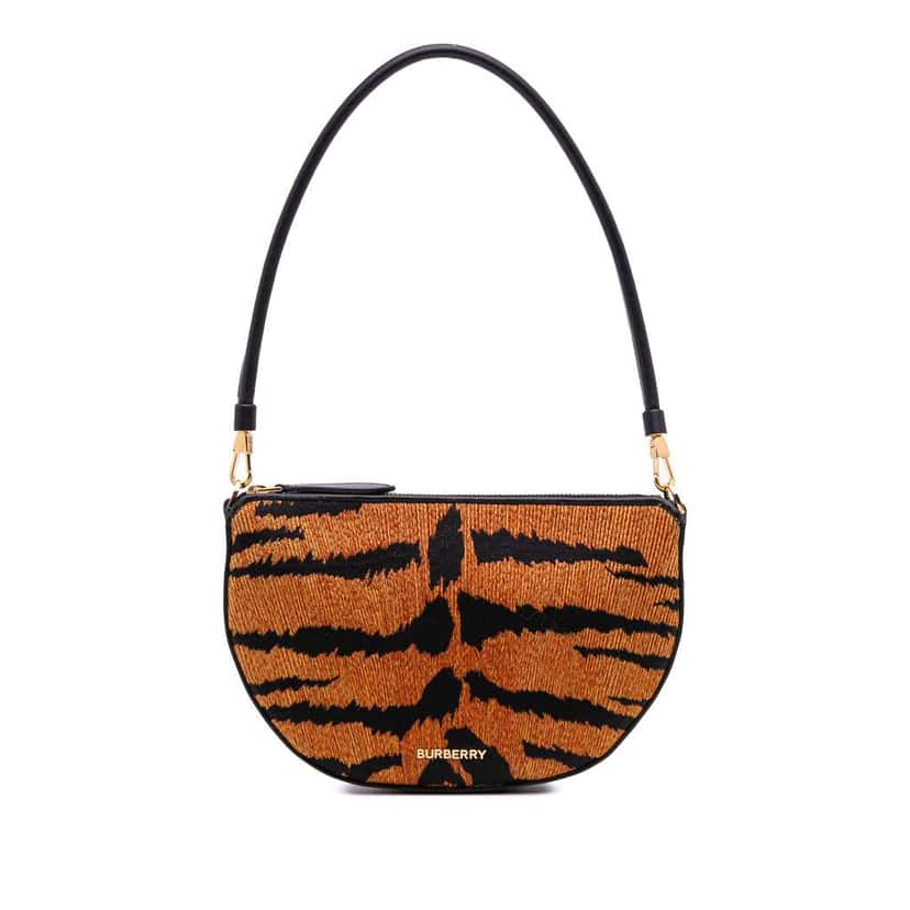 Burberry Mini Canvas Tiger Print Olympia Shoulder Bag Brown Canvas Good condition - Front View