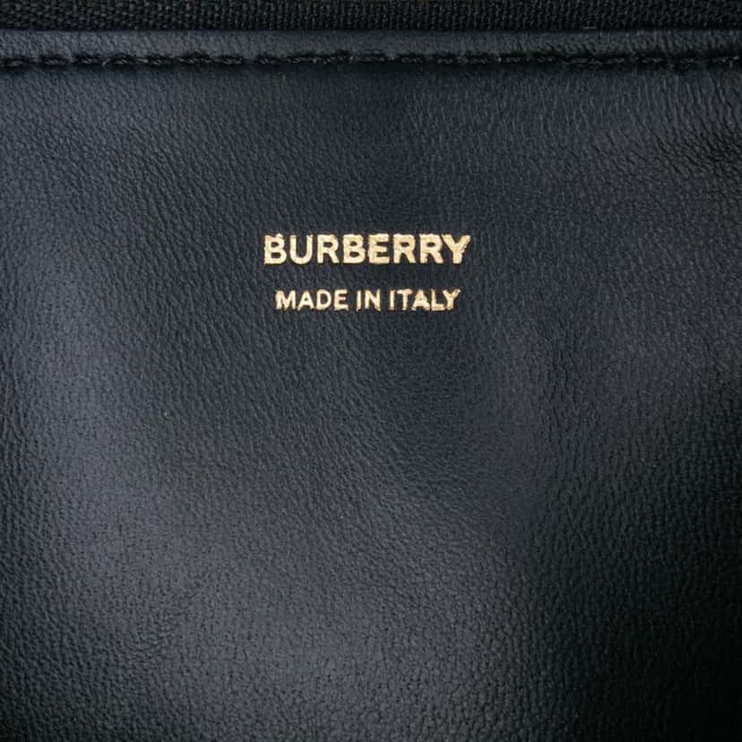 Burberry Mini Canvas Tiger Print Olympia Shoulder Bag Brown Canvas Good condition - Box View
