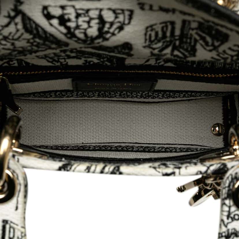 Dior Mini Embroidered Canvas Plan de Paris Lady D Lite White Canvas Good condition - Model View