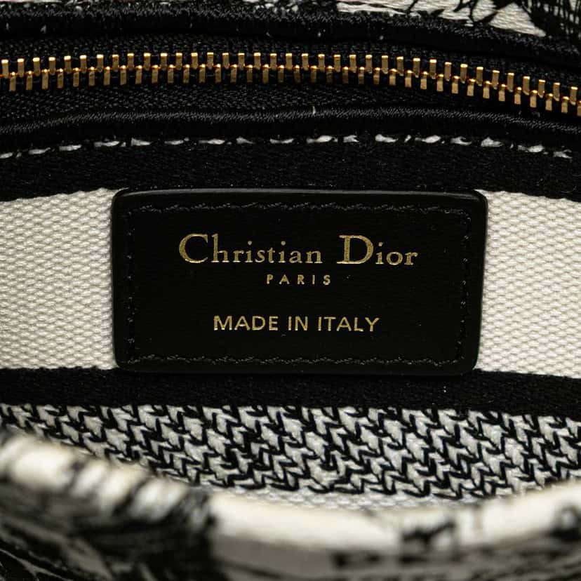 Dior Mini Embroidered Canvas Plan de Paris Lady D Lite White Canvas Good condition - Box View