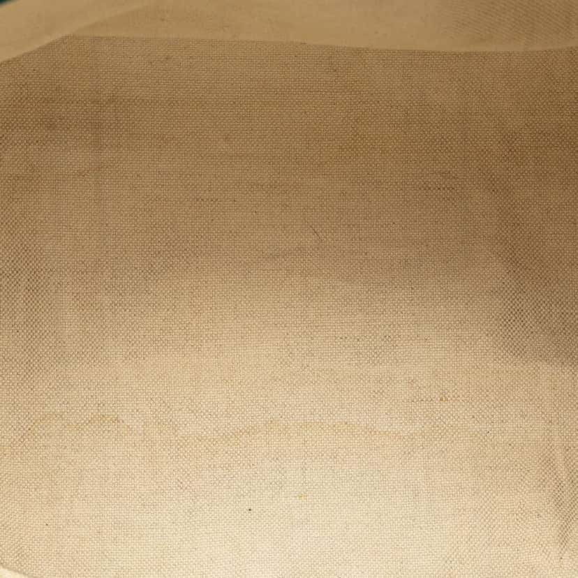 Gucci Medium GG Canvas Web Joy Boston Bag Brown Canvas Good condition - Model View