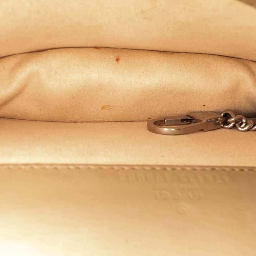 Gucci Mini GG Supreme Dionysus Crossbody Brown Canvas Good condition - Model View