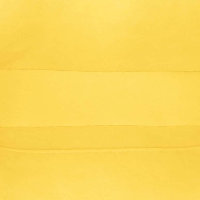 Louis Vuitton Epi Pochette Accessoires Yellow Leather Good condition - Model View