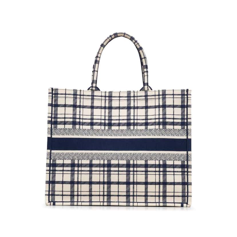 Dior Large Check n Dior Book Tote Blue Canvas Good condition - Model View