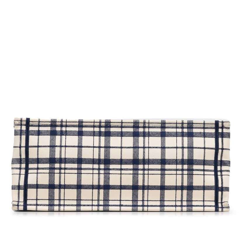 Dior Large Check n Dior Book Tote Blue Canvas Good condition - Box View