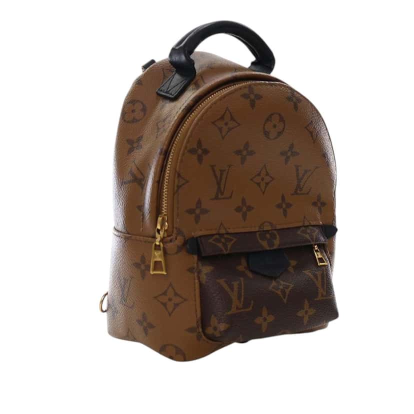 Louis Vuitton Monogram Reverse Mini Palm Springs Brown Good condition - Back View