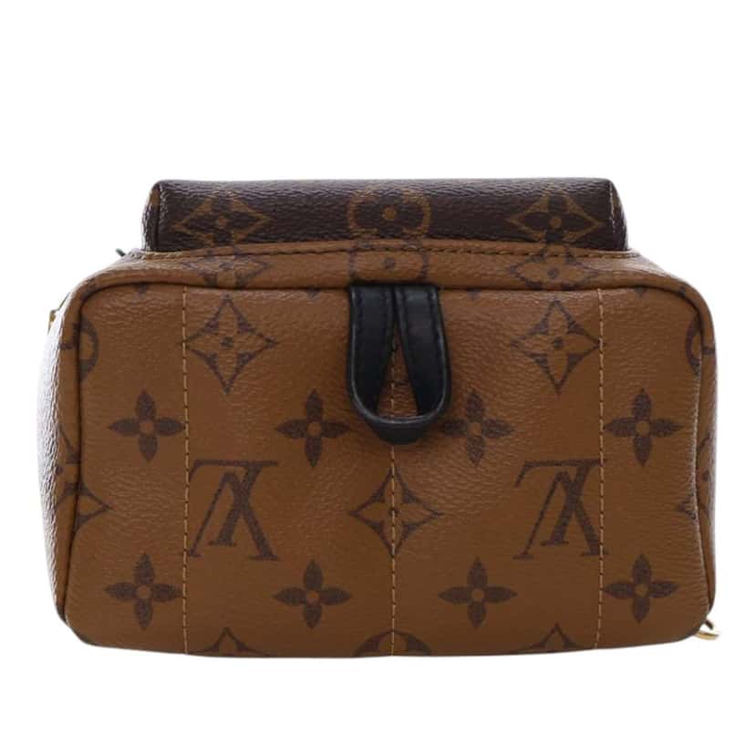 Louis Vuitton Monogram Reverse Mini Palm Springs Brown Good condition - Model View