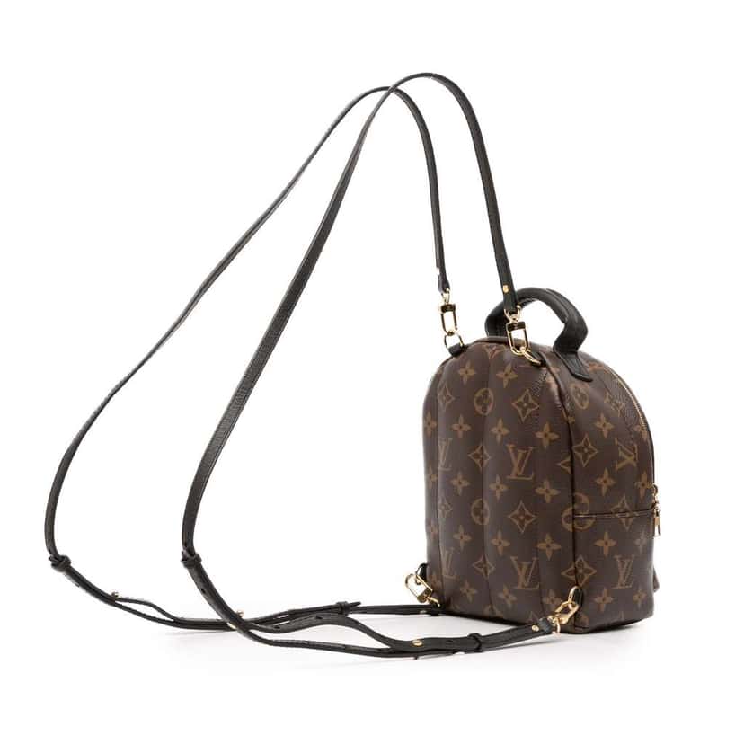 Louis Vuitton Monogram Mini Palm Springs Brown Good condition - Back View