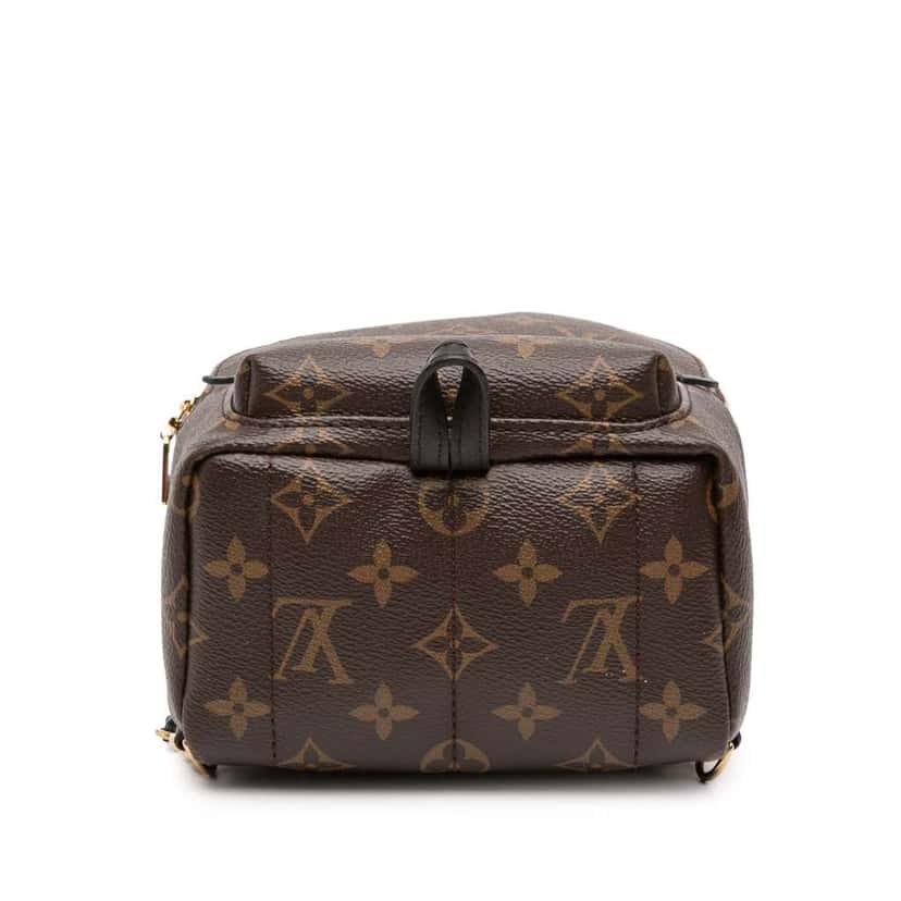 Louis Vuitton Monogram Mini Palm Springs Brown Good condition - Inside View