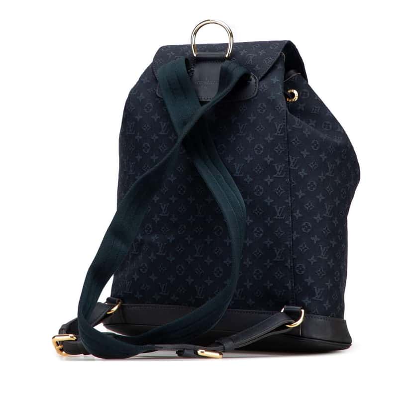 Louis Vuitton Monogram Mini Lin Montsouris GM Blue Canvas Good condition - Back View