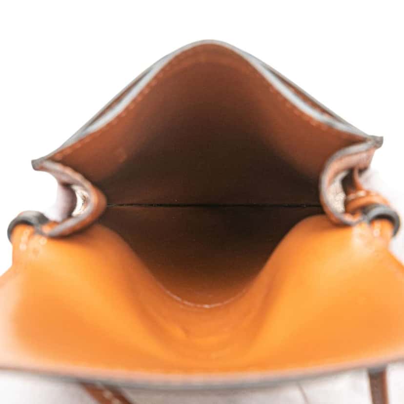 Celine Triomphe Coated Canvas Phone Pouch Flap Crossbody Brown Canvas Good condition - Model View